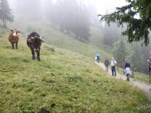 UA140719wandeltocht19.JPG